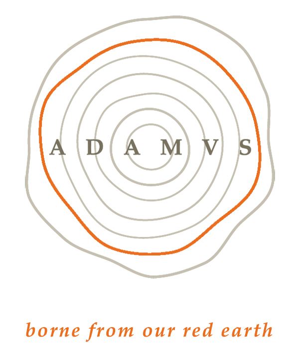 ADAMVS