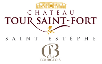 Chateau Tour Saint-For