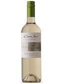 Cono Sur: Bicicleta Sauvignon Blanc