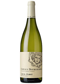 Maison Louis Jadot: Coteaux Bourguignons Blanc