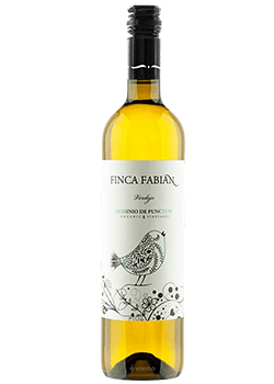 Dominio De Punctum: Finca Fabian Verdejo